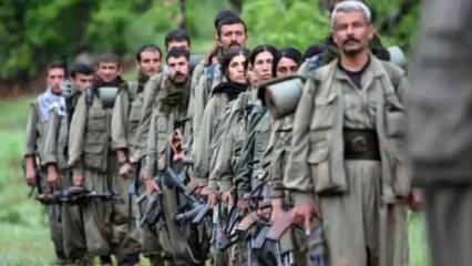 Yarım asırlık terör belası son buluyor: PKK'nın silah bırakma sürecinde dikkat çeken detay