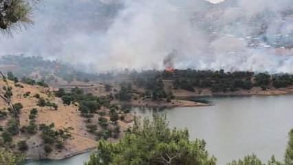 Adıyaman'da orman yangını