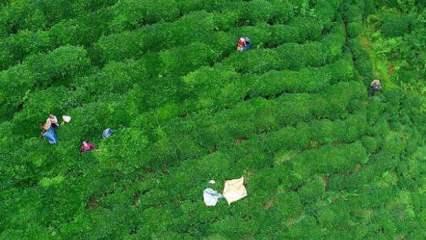 &Ccedil;AYKUR'dan &uuml;reticilere fiyatı uyarısı