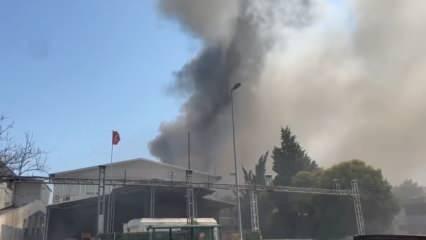 Esenyurt'ta bir fabrikada yangın çıktı