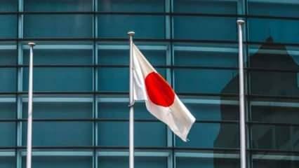 Japonya'da göçmen karşıtı partiden sürpriz çıkış