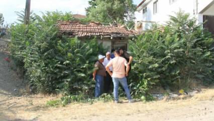 Bir şehri saran iddia: Keloğlan'ın memleketi aranıyor!