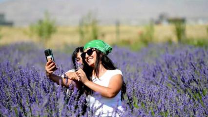Tam eltiye görümceye göndermelik! En güzel fotoğraflar burada çekiliyor