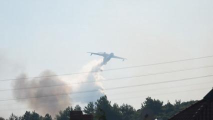 Urla'daki orman yangını kontrol altında!