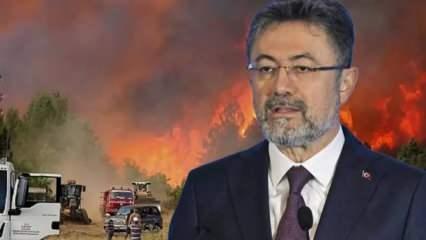 Bakan Yumaklı'dan orman yangını açıklaması: Kontrol altına alındı!