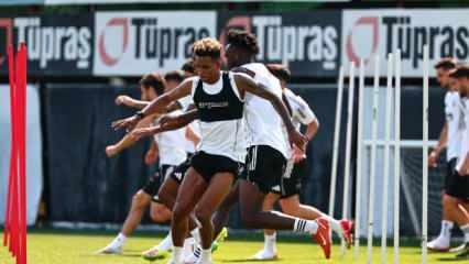 Beşiktaş, Shakhtar Donetsk maçına bileniyor
