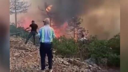 Bursa'da orman yangını