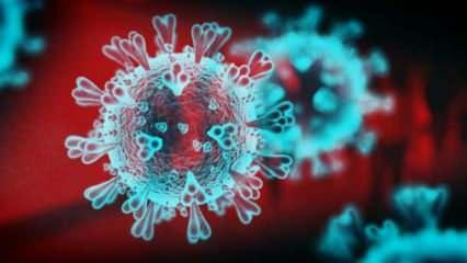 DSÖ'den Chikungunya uyarısı: 5,6 milyar kişi risk altında! Türkiye'de de görüldü