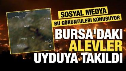 Dumanlar aynı anda yükselmiş... Bursa'daki yangınların uydu görüntüleri ortaya çıktı!