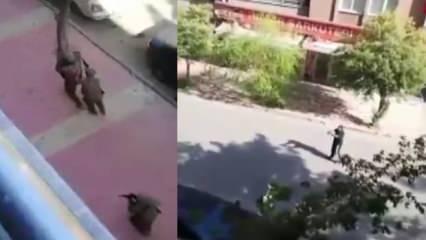 Elazığ'da hareketli anlar! Özel harekat polisini vuran adam böyle etkisiz hale getirildi!