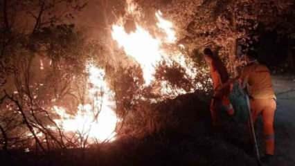 Gebze'de orman yangını 3 saatte söndürüldü