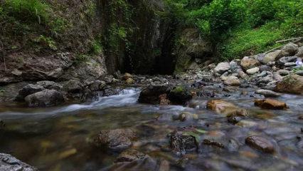 Karadeniz’in yeni kanyonu: Kaymakam müjdeyi verdi