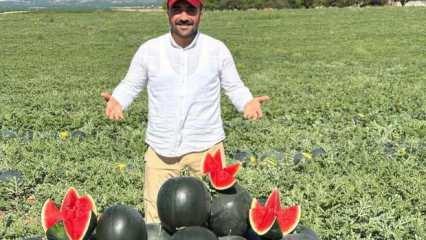 Kayısı zarar g&ouml;rd&uuml;, başka &uuml;r&uuml;n y&uuml;z g&uuml;ld&uuml;r&uuml;yor&hellip; Kilosu 3 liraya d&uuml;şt&uuml;