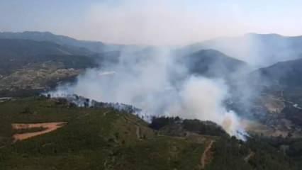 Tunceli'de çıkan örtü yangını söndürüldü