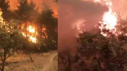 Yangından son anda kurtuldular: 'Ortada kaldık!'