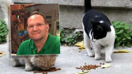 Acı son! Kedi tüyü hayattan kopardı