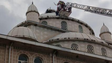 Cami kubbesinde ayağı sıkışan leylek kurtarıldı