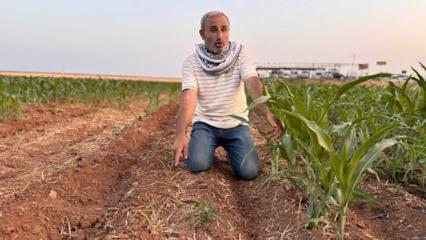 İki tohum arasındaki büyüme farkını gören çiftçinin tepesi attı 