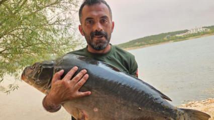 Devasa balığı oltayla yakaladı, kendisi bile kilosuna inanamadı
