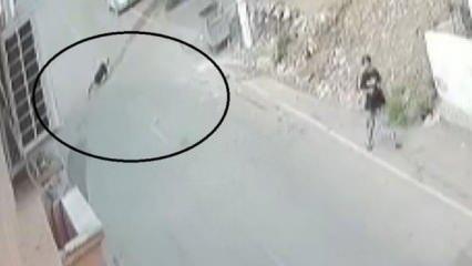 Hatay'da korkunç olay: Aynı silahla hem dayısını hem de kendisini vurdu