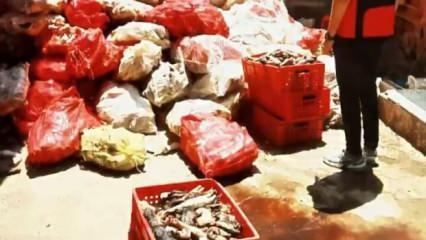 5 ton yakalandı! Hepsini vatandaşa yedireceklerdi...