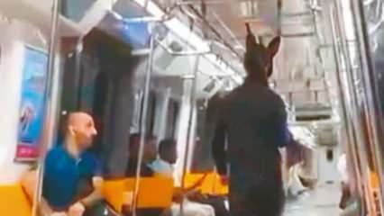 Metrodaki "tüfekli tavşan" yakalandı