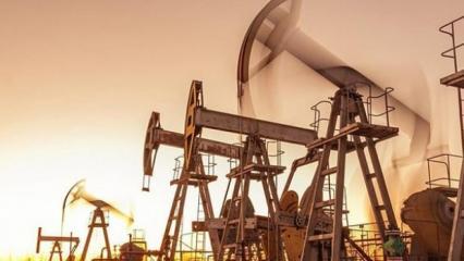 OPEC+ üyesi 8 ülkeden karar: Günlük 547 bin varil üretim artışına gidilecek