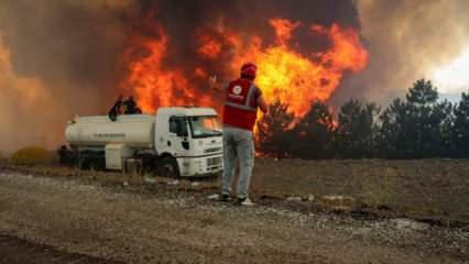 Bursa'da havai fişekle yangın çıkaranların cezası belli oldu! 1 kişi tutuklandı
