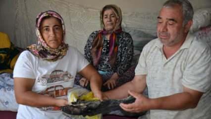 Yer: Antalya! Hem evleri hem de tüm birikimleri yandı