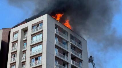 Bağcılar'da 13 katlı binada yangın
