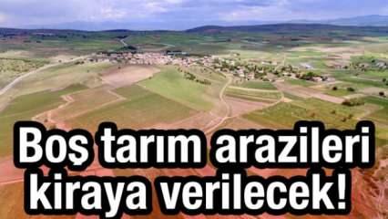 Bakanlık duyurdu: Boş tarım arazileri kiraya verilecek! Eylül'de yürürlüğe girecek