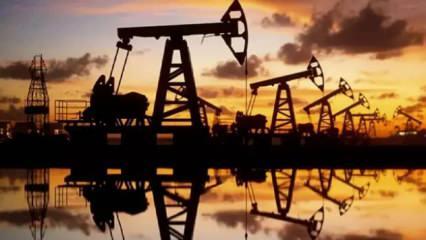 ABD'nin petrol sondaj kulesi sayısında artış