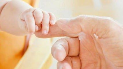 Doğurganlık oranlarında kritik senaryo: Türkiye'de endişe veren düşüş