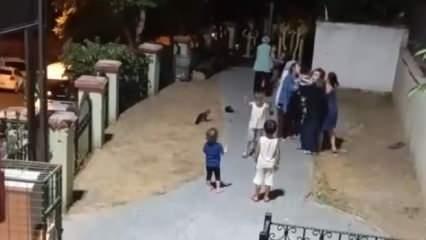 Kağıthane’de parkta çocuklar arasında kavga! Anneler de dahil oldu