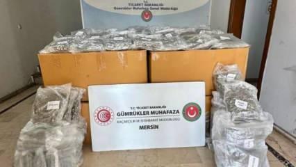 Mersin Limanı'nda konteynerde 587 kilo esrar ele geçirildi