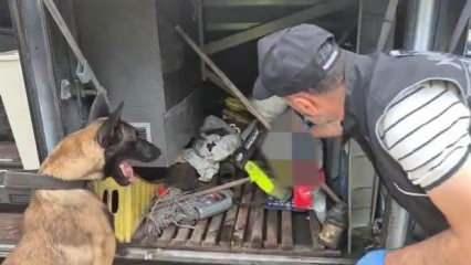 Otobüste yolcunun valizinde 1 kilo 182 gram skunk ele geçirildi