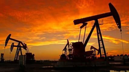 Rusya'nın petrol ve doğalgaz gelirlerinde büyük düşüş: 9,8 milyar dolar geriledi!