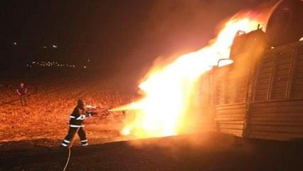 Mardin'de feci kaza! Ters dönen tır alev aldı, şoför yanarak can verdi