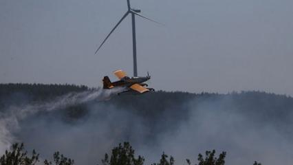 Bakanlıktan, Çanakkale'de yangında yanan ormanlık alanla ilgili açıklama geldi!