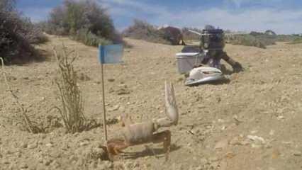 Canlılar ve robotlar arasında kavga başladı!