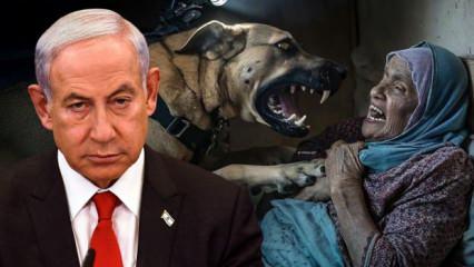İsrail boşuna dünyanın en nefret edilen ülkesi değil! işte kan donduran 33 işkence yöntemi