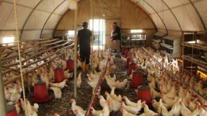 Atanamayınca bırakmadı! Bulduğu meşgale hayatını değiştirdi