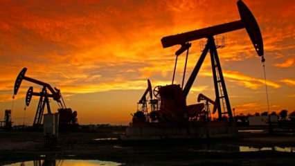 Türkiye'ye petrol, doğal gaz ve madencilik çağrısı! Trilyon dolarlık fırsat