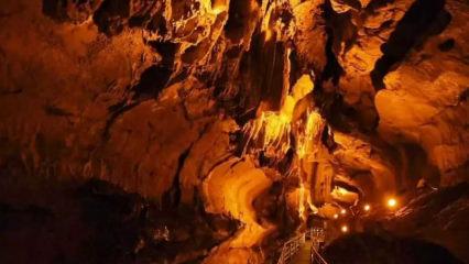 8 milyon yılda oluştu: İçindekileri görünce çok şaşıracaksınız