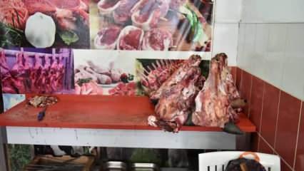 Antalya'da gıda skandalı! Hepsini vatandaşa yedireceklerdi...