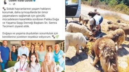 Beykoz'da vekil başkan mama lobisini ziyaret etti: Vatandaş tepki gösterdi