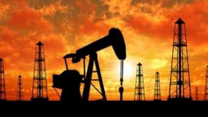 Petrolün varil fiyatında yükseliş var!