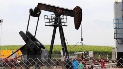 Petrol hakkına müteallik karar