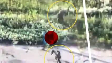 Rus askerin drona tüfek fırlattığı anlar kamerada: Çaresizliğin görüntüsü