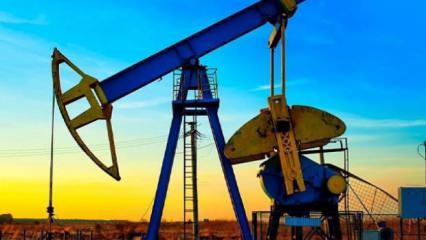 TPAO 21 petrol sahası için izin istedi! Resmi Gazete'de yayımlandı